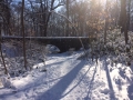 Snow-Causeway-2