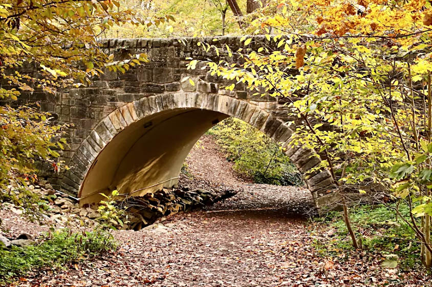 The old stone bridge inside Tregaron Conservancy. (Photo by Nevin Martell for the Washington Post)