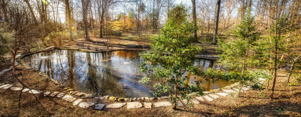 Home - Tregaron Conservancy