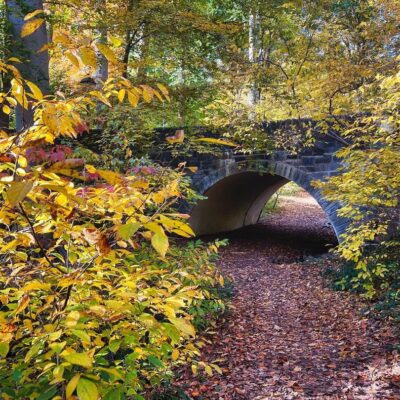 Old stone bridge in fall colors