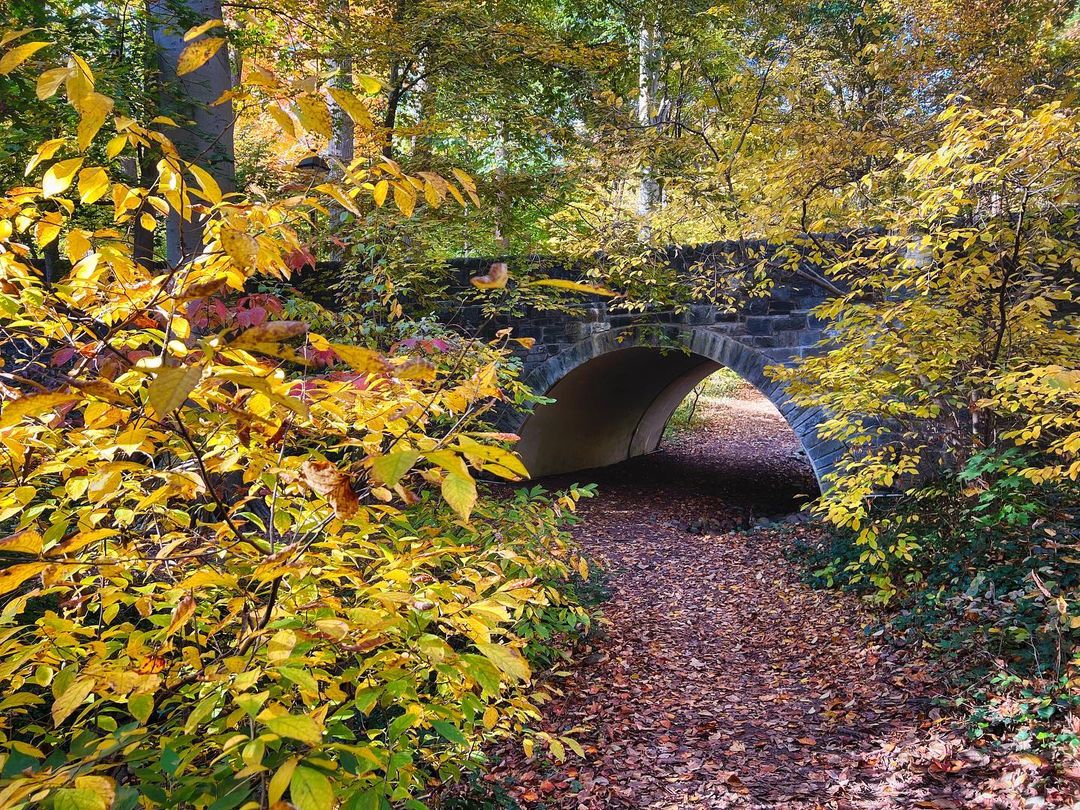 Old stone bridge in fall colors