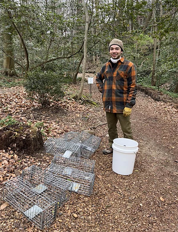 Squirrel science at Tregaron