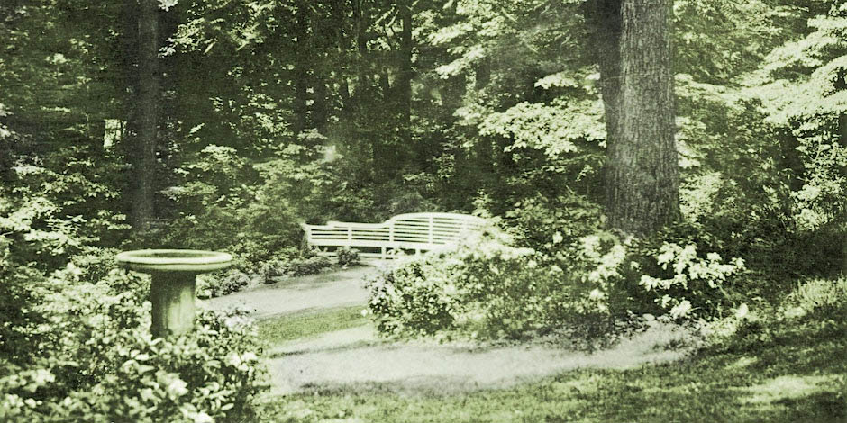 Vintage photo of Tregaron bench