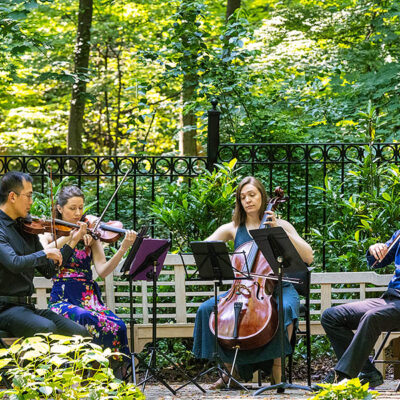 String quarter performance at Tregaron