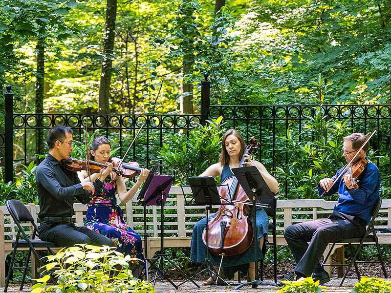 String quarter performance at Tregaron