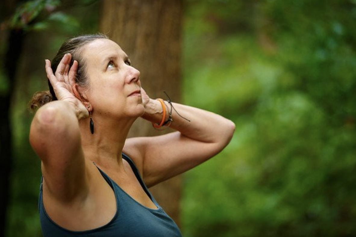 Forest Bathing with Certified Guide Susan West Montgomery - Tregaron ...