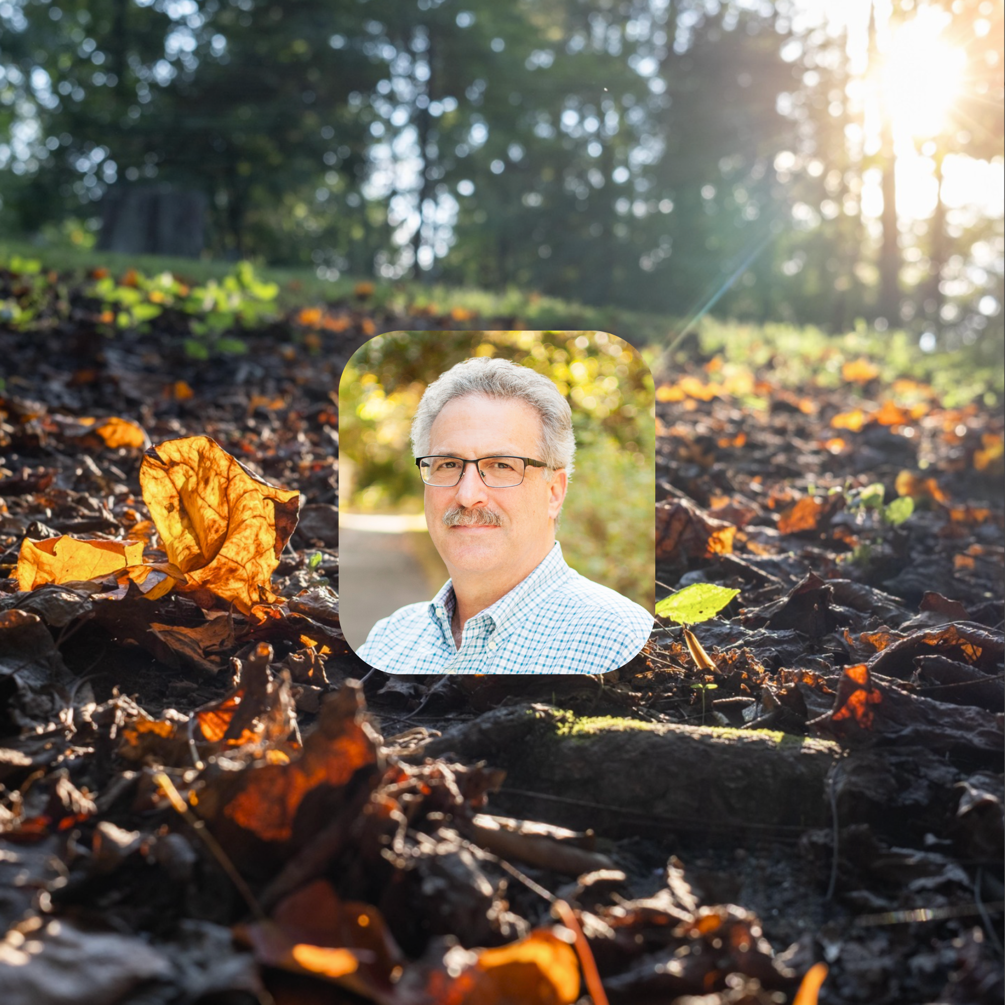 Untitled (17 x 18 in)