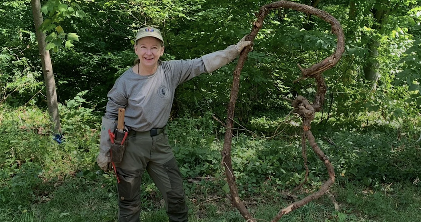 Volunteer leader Danna McCormick