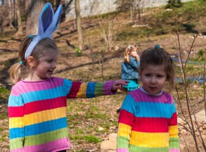 Two little bunnies at Tregaron (photo by Michael Mitchell)