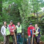 Casey Trees Volunteers planting a tree at Tregaron