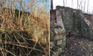 Macomb Wall-Before & After