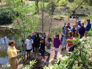 Sri Chinmoy tree planting 1