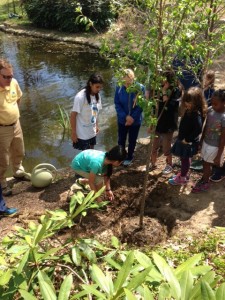 Sri Chinmoy tree planting 2