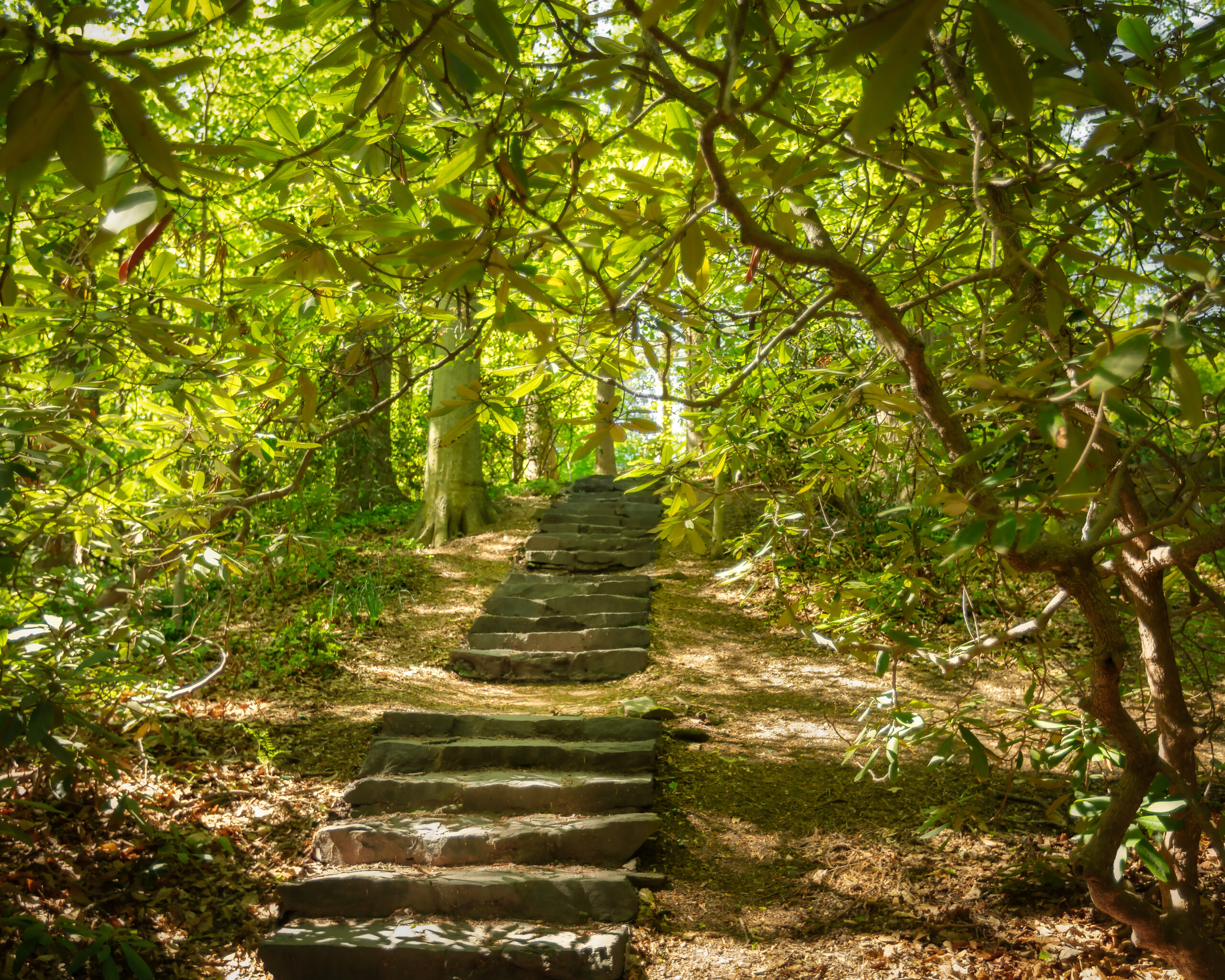 Grand Staircase in Spring