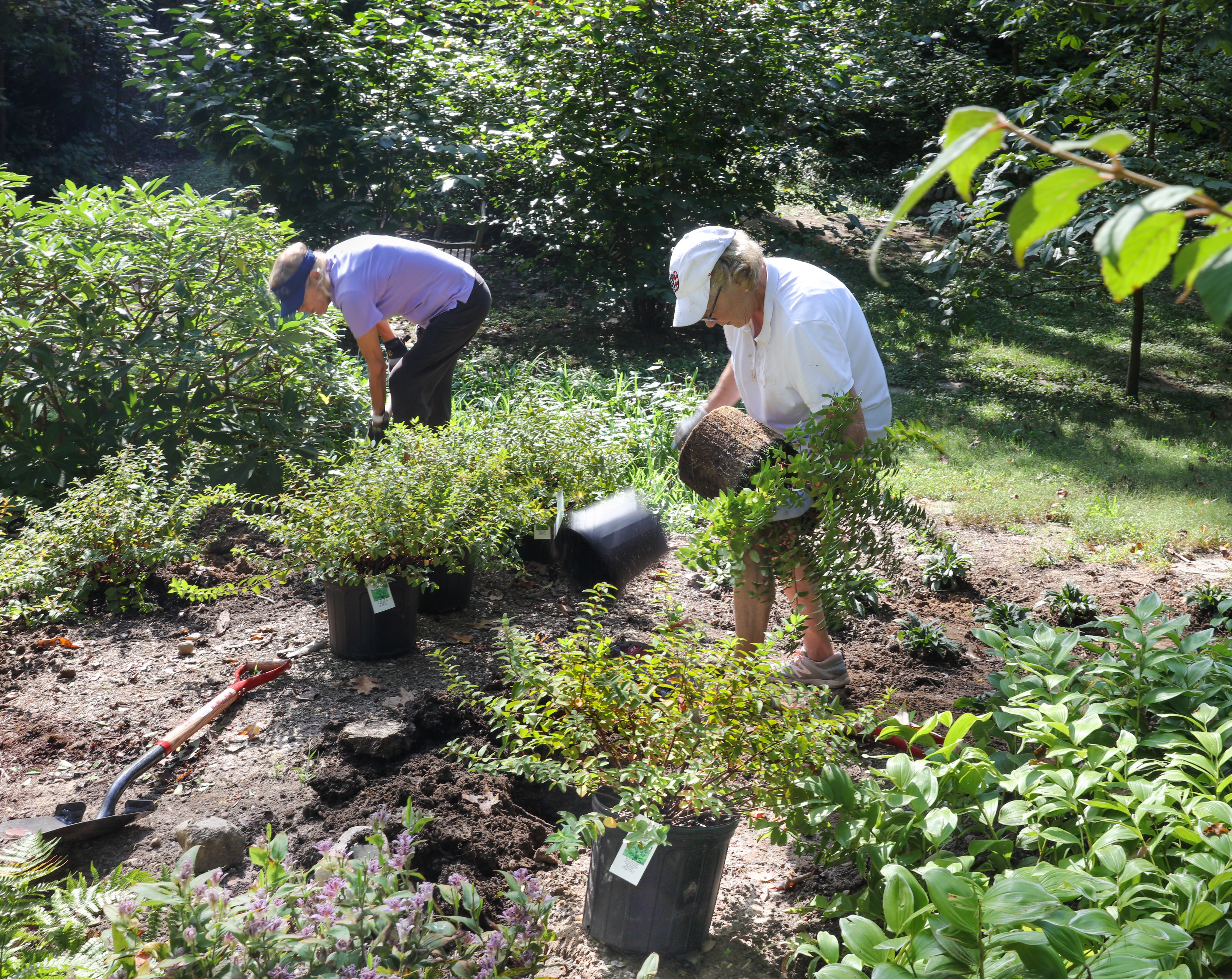 Volunteers planting wild gardens at Tregaron