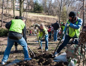 Volunteers hard at work planting one of the trees donated by Casey Trees (photo by Michael Mitchell)