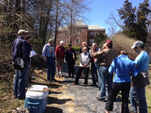 Tregaron tree talk photo