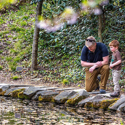 Father and son enjying exploring the pond at Tregaron.