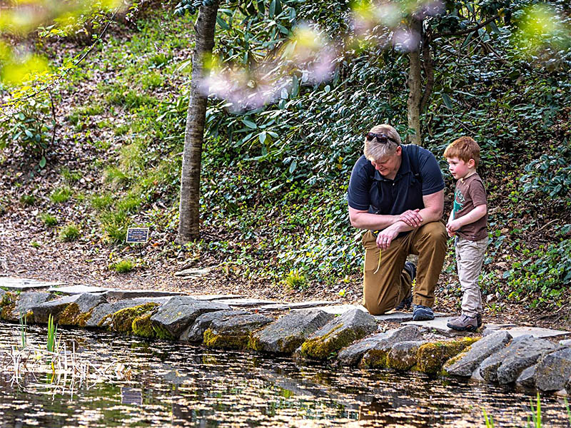 Father and son enjying exploring the pond at Tregaron.