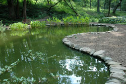 restored lilypond