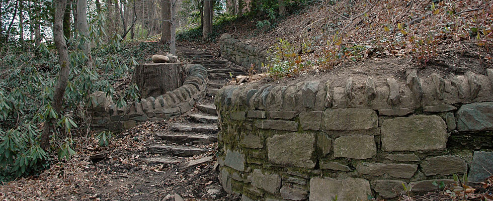 Unearthed original stone stairs at Tregaron.